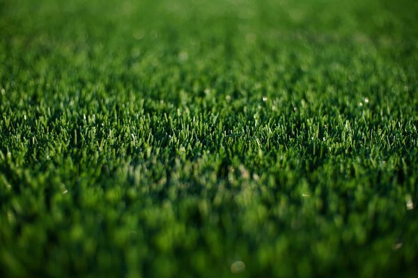 Gazon synthétique : trouvez le bon modèle pour votre espace